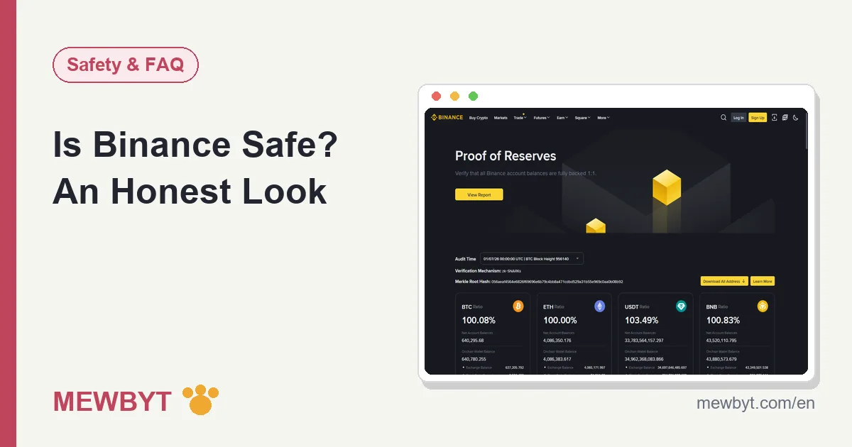 Cover image for the is Binance safe analysis